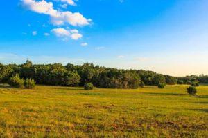 Lot 35 & Creeks