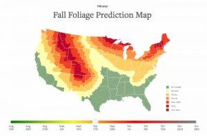 fall foliage map