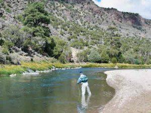 Fly fishing