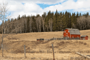 Alberta Ranch