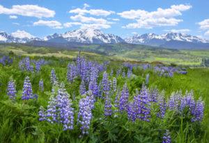 Colorado Ranch