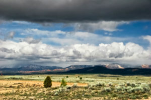 Utah Ranch