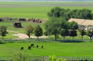 Wisconsin Ranch