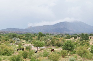 land
