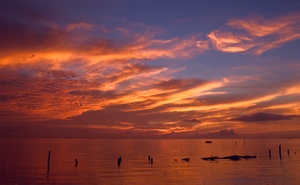 Texas Coast
