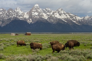 Wyoming Ranch
