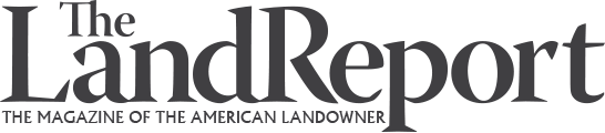 The Land Report – April 2019