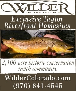Wilder