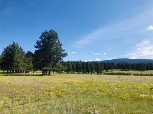 Angel Fire Garcia Park