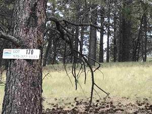Angel fire - mLot 170