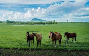Arnold Realty - Cottle Creek Ranch