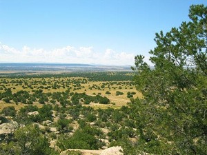 Woodland RANCH