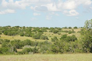 Woodland Ranch