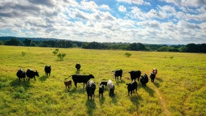 land