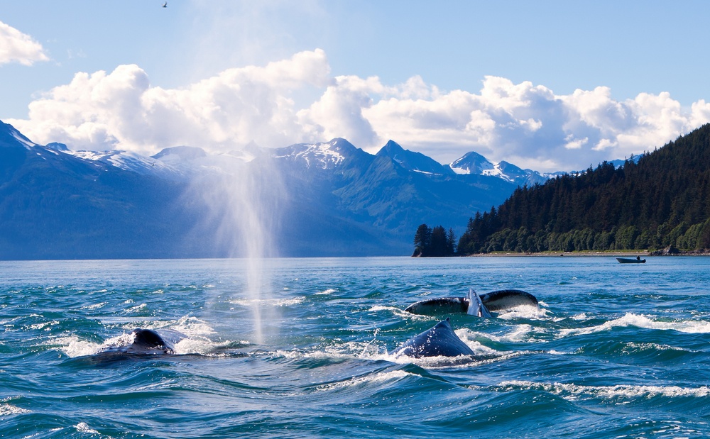 Alaska