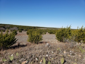 land