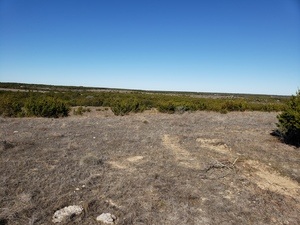 land