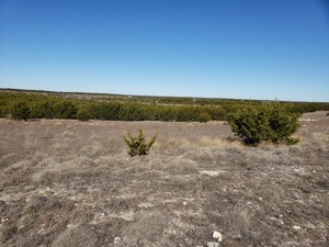 land