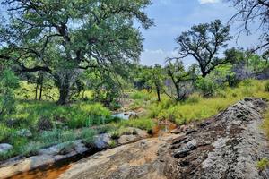 Blake Ledyard - Horseshoe Bay Ranch - 257 acres