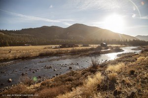 Broken Arrow- Riverfront Cabin Creede Colorado