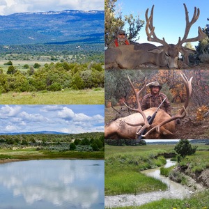 Harrigan Land Company -Roi Nutrias Creek Ranch. -2