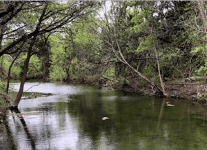 Natalie Hamond - 3182 CR 202 Burnet, Tx