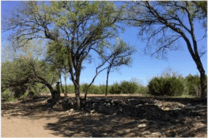 Natalie Hamond - 3182 CR 202 Burnet, Tx. 2