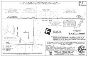 survey map