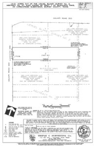 survey map