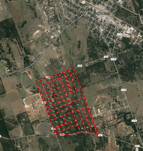 Blackjack Oaks- large
