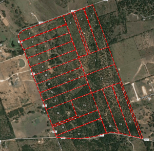 Blackjack Oaks- small