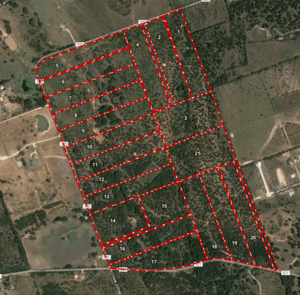 Blackjack Oaks- small