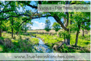True Texas Ranches ad