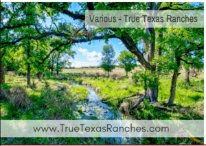 True Texas Ranches ad