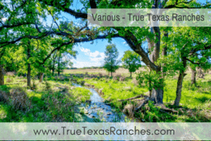 True Texas Ranches ad