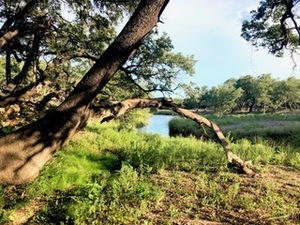 land