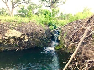 land