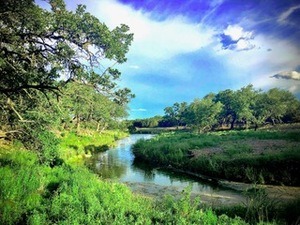 land