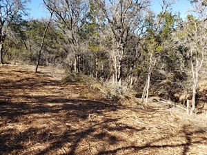 land