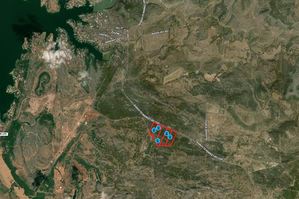 Buchanan Oaks - Large - non-interactive
