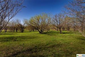 David G. 36 acres