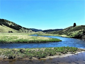 M4- Rio De Los Pinos Ranch - Mogote, CO
