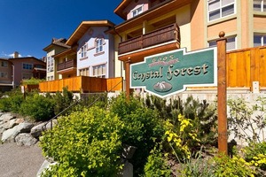 ReMax- Crystal Forest