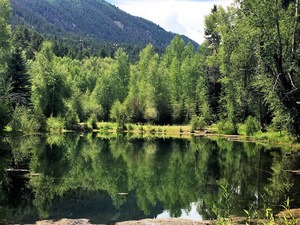 Murphy- Lake City River Acerage