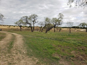 Ranch 3