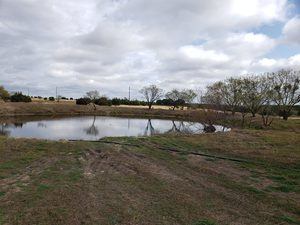 Tract49 - pond 11-23-2020