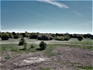 land