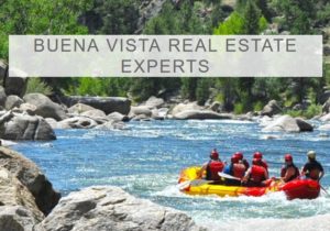 Buena Vista Real Estate Experts