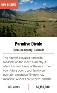 Paradise Divide- Wilder