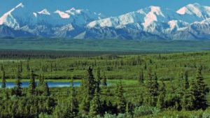 Alaska Cruise and Land